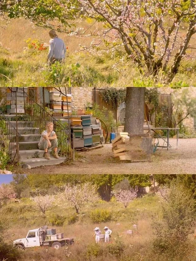 我最最最爱的电影❗❗没有之一❗❗