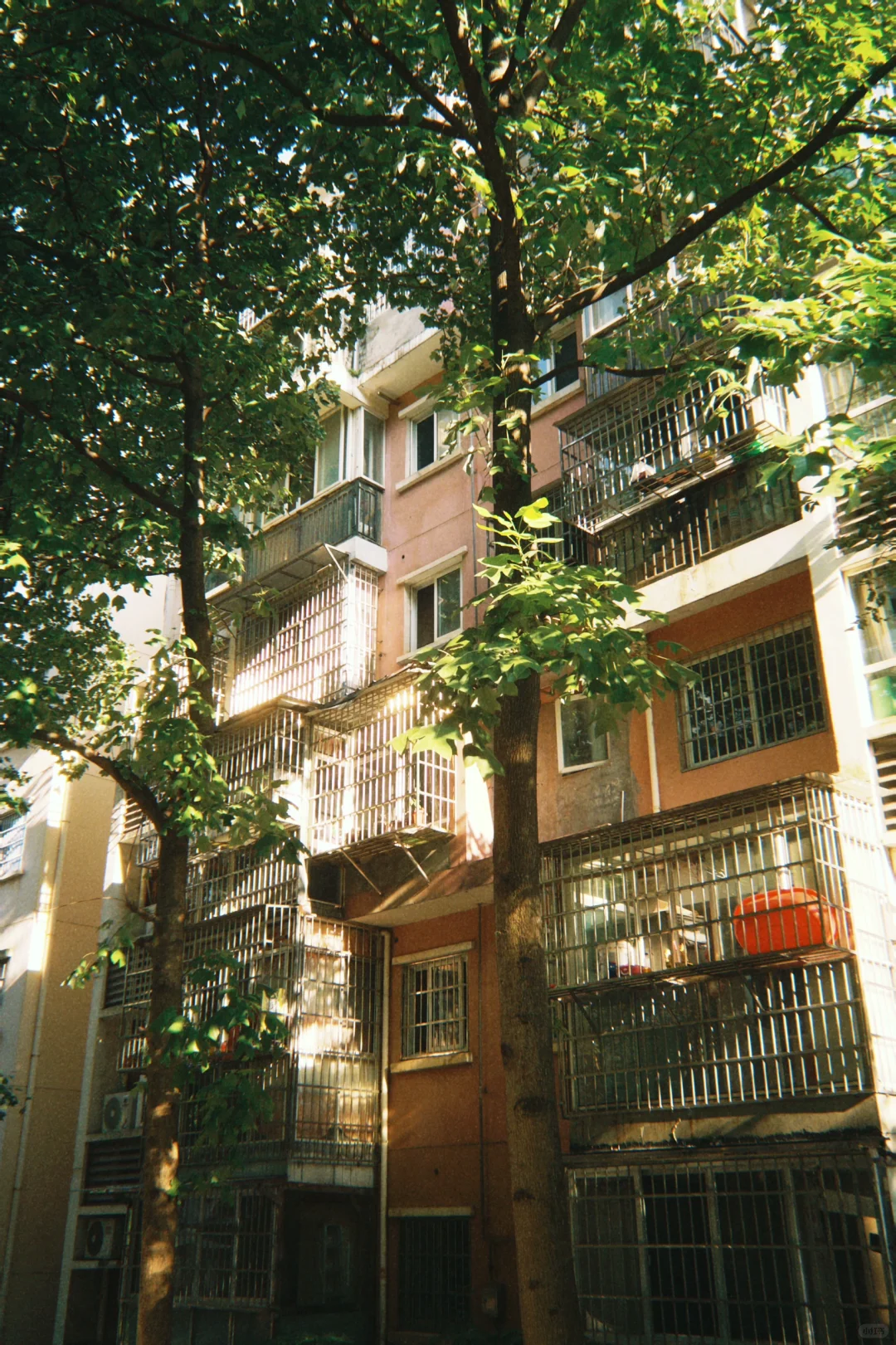 用苹果的姐妹一定要去试试这个软件啊!!!