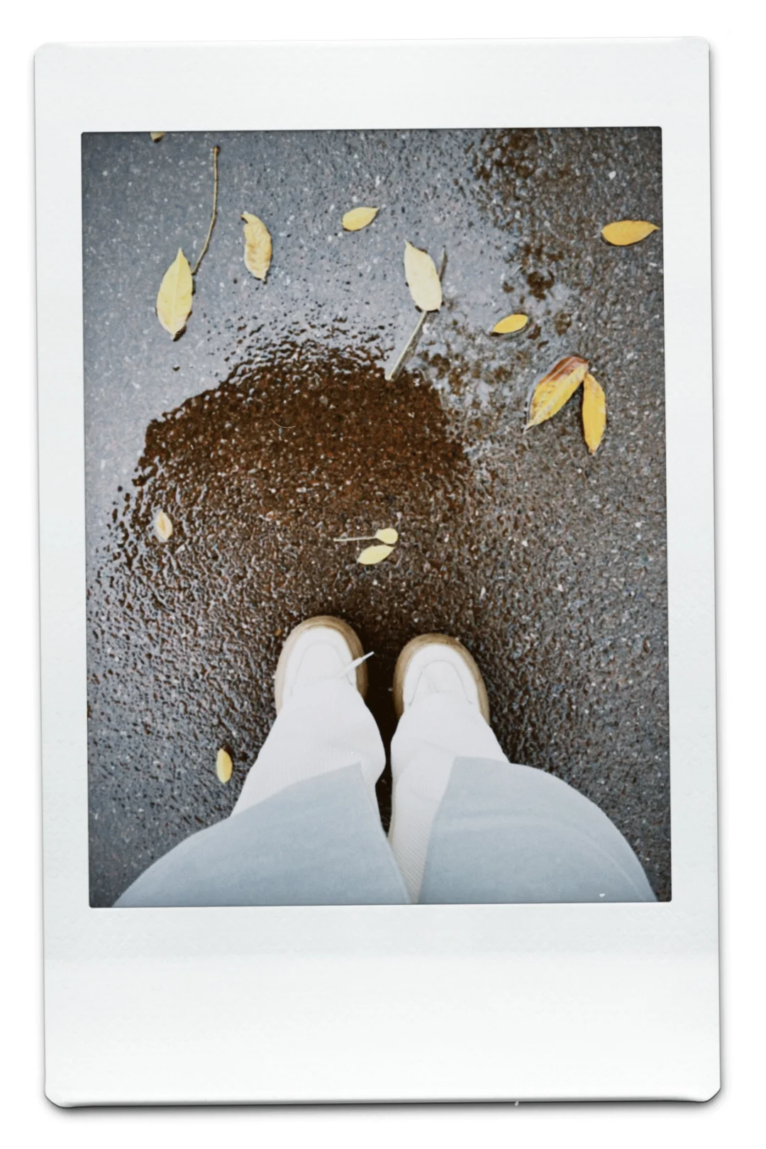 用苹果的姐妹一定要去试试这个软件啊!!!