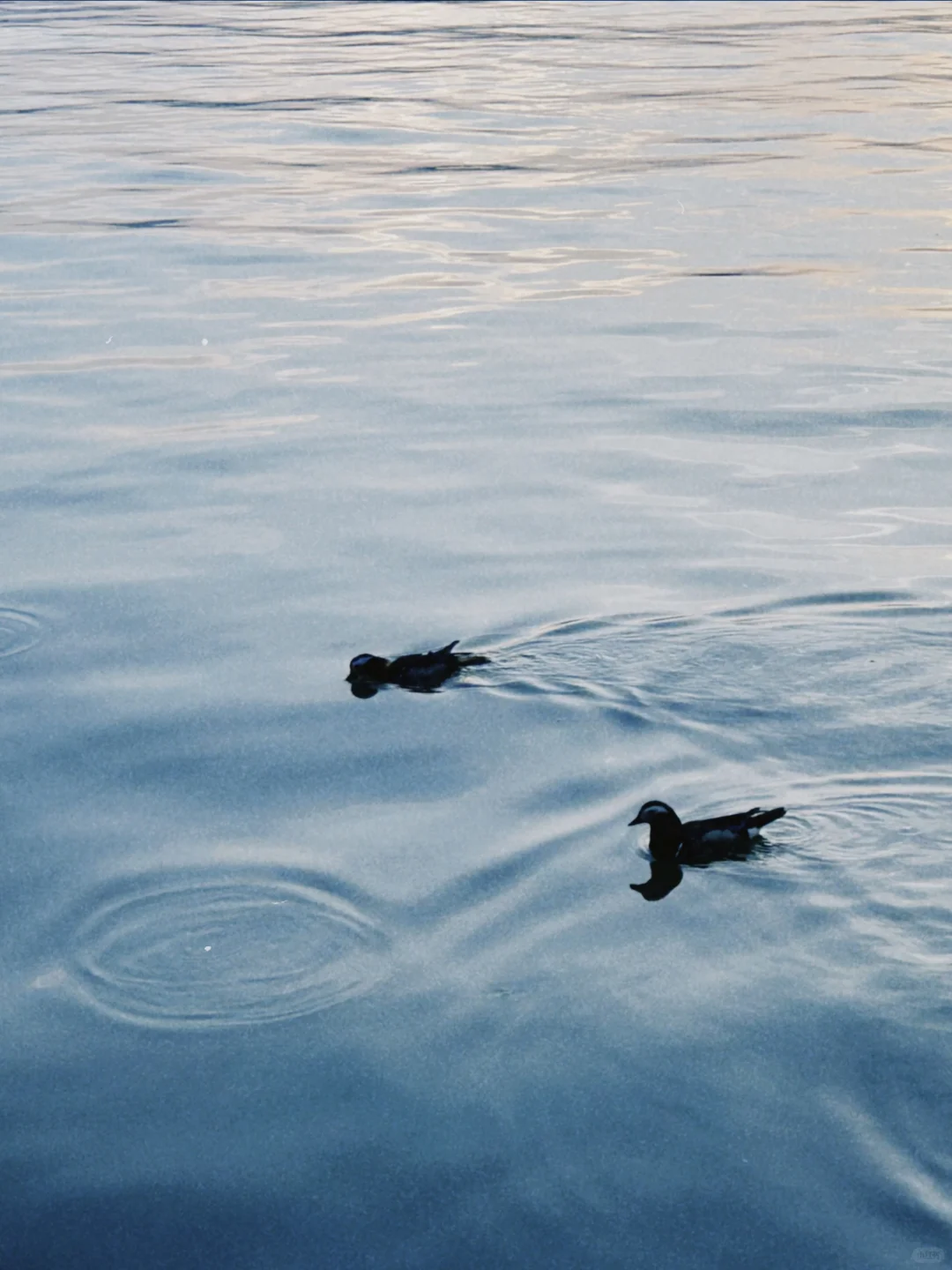 用苹果的姐妹一定要去试试这个软件啊!!!