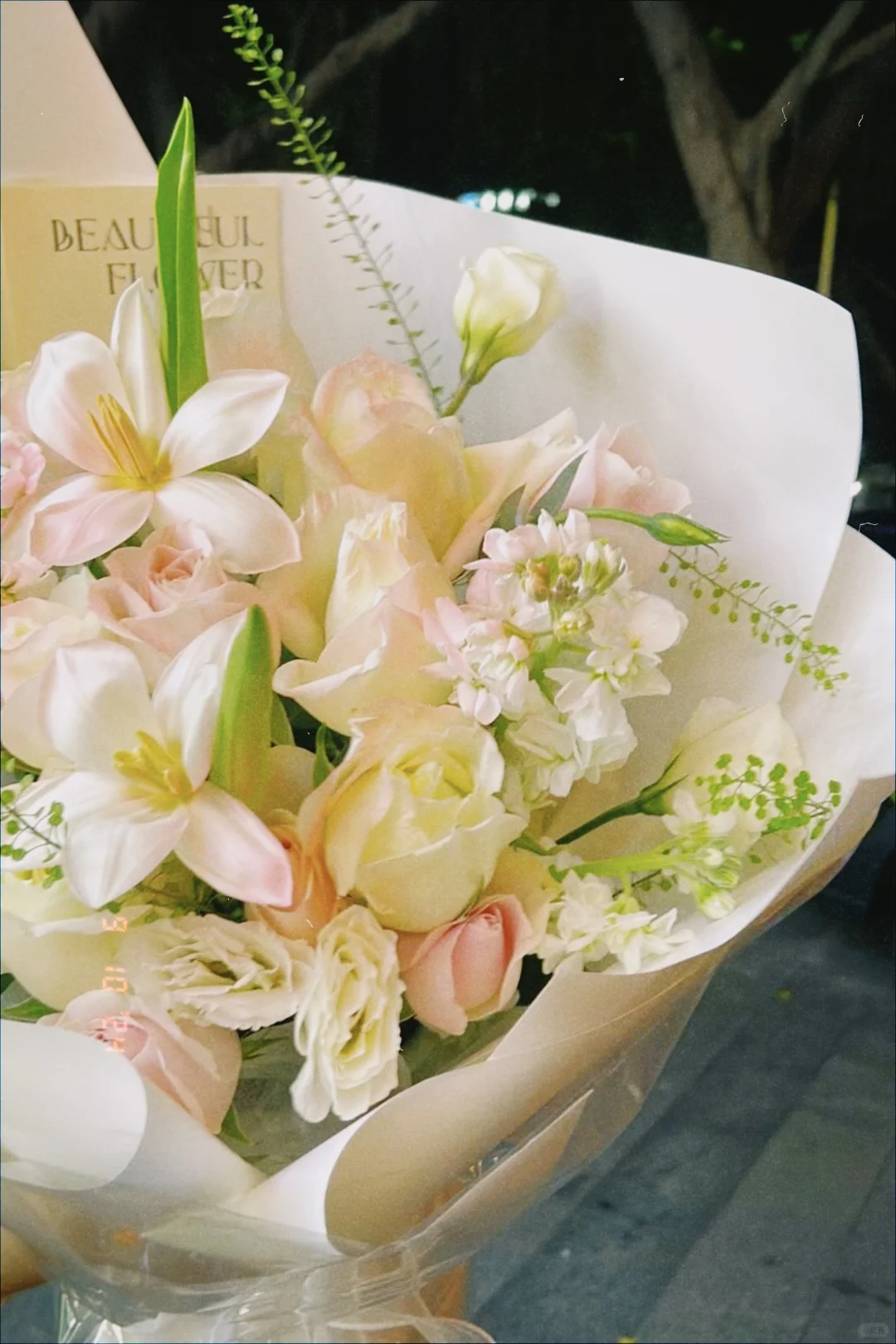 用苹果的姐妹一定要去试试这个软件啊!!!