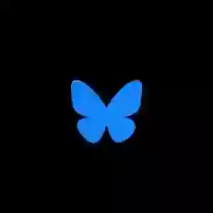 如何开启🦋之旅