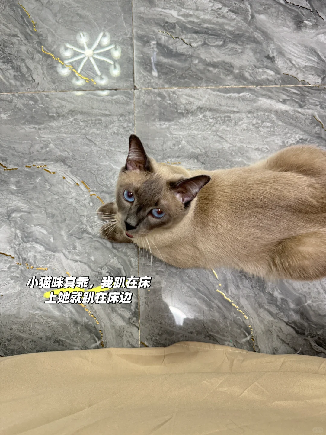 对象一起开发一款les软件