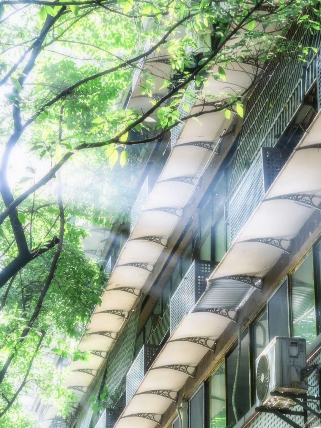 我宣布！这是咱安卓宝自己的dazz！！