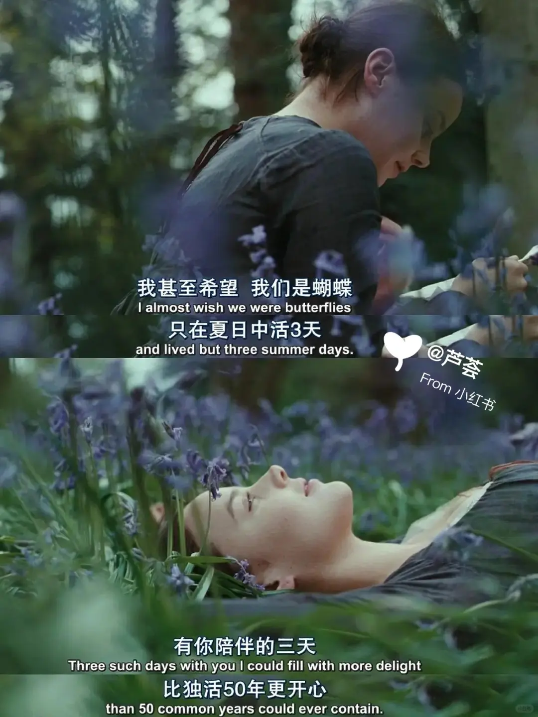 巨巨巨好看❗️我的人生电影❗️没有之一