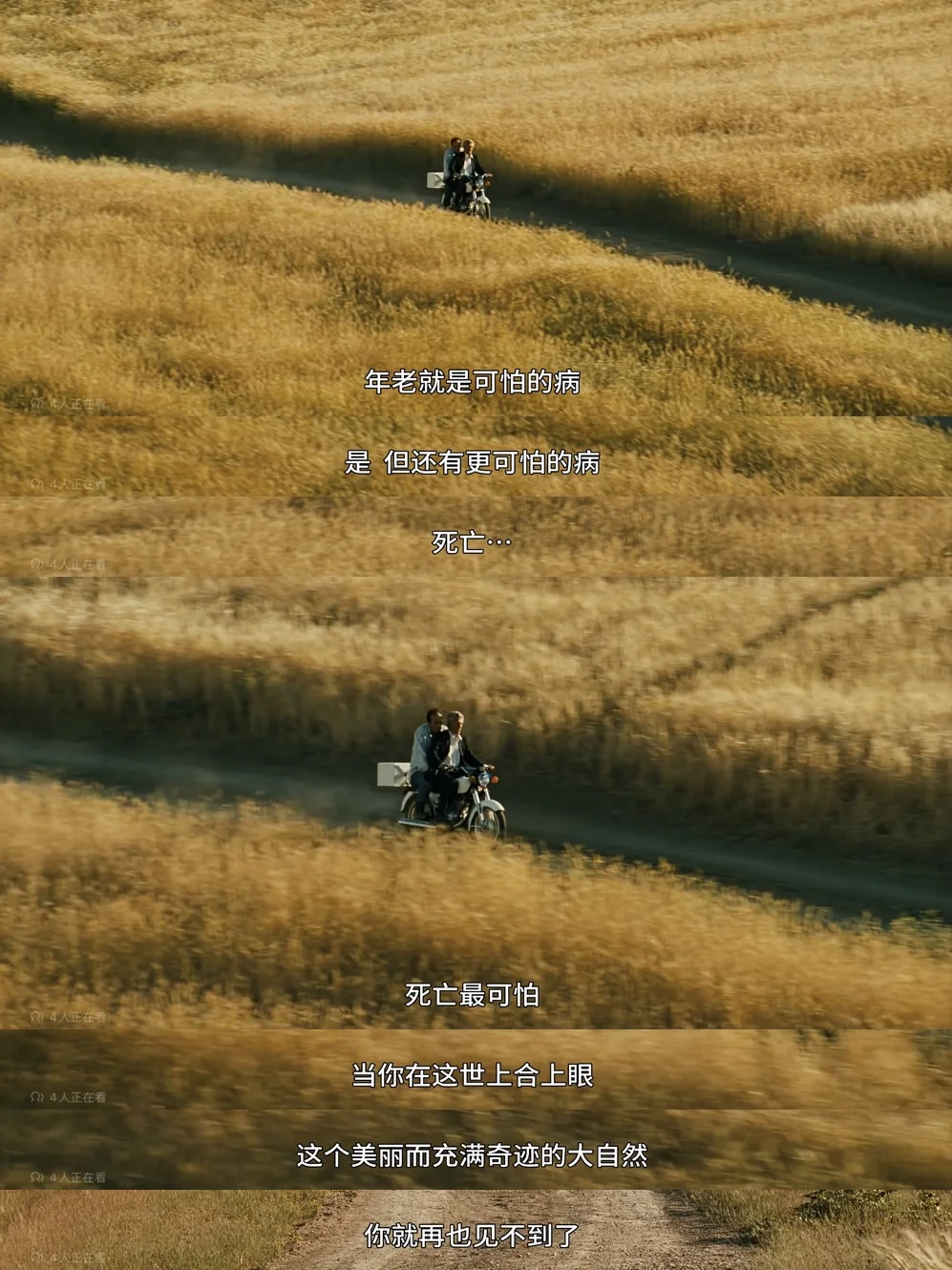 太太太美了‼️i人一定要看的秋日电影👀