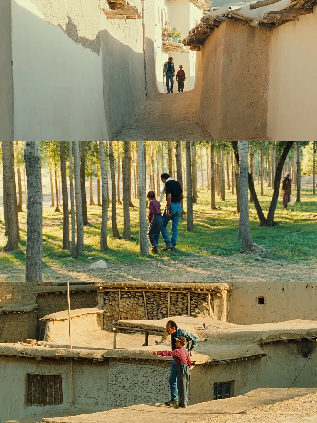 太太太美了‼️i人一定要看的秋日电影👀