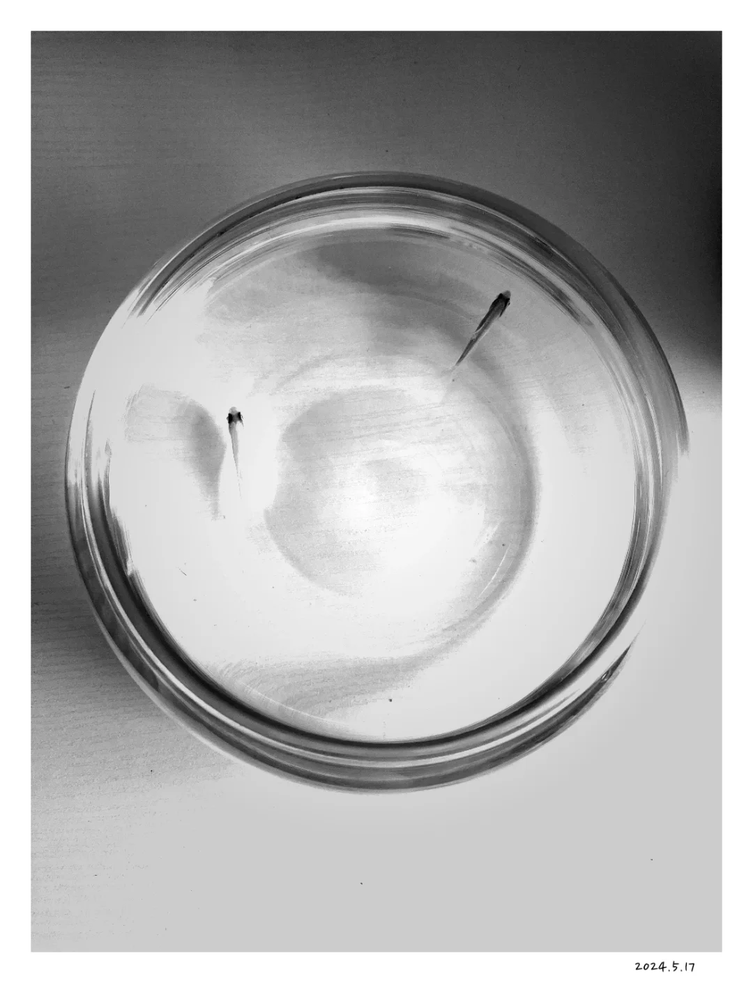 📷我的第一款app要上线啦！