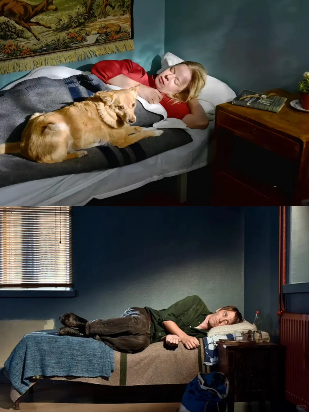 芬兰电影《枯叶》🍂｜极致的孤独与治愈