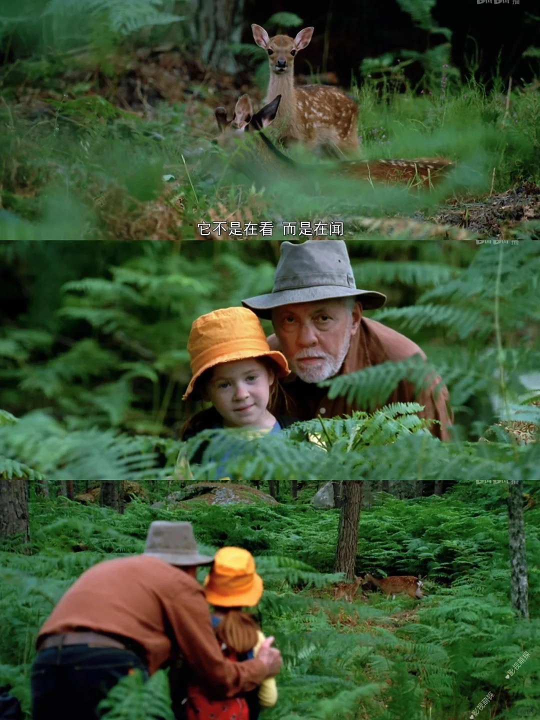 太治愈了❗️不愧是央妈每年放8遍的电影🔥
