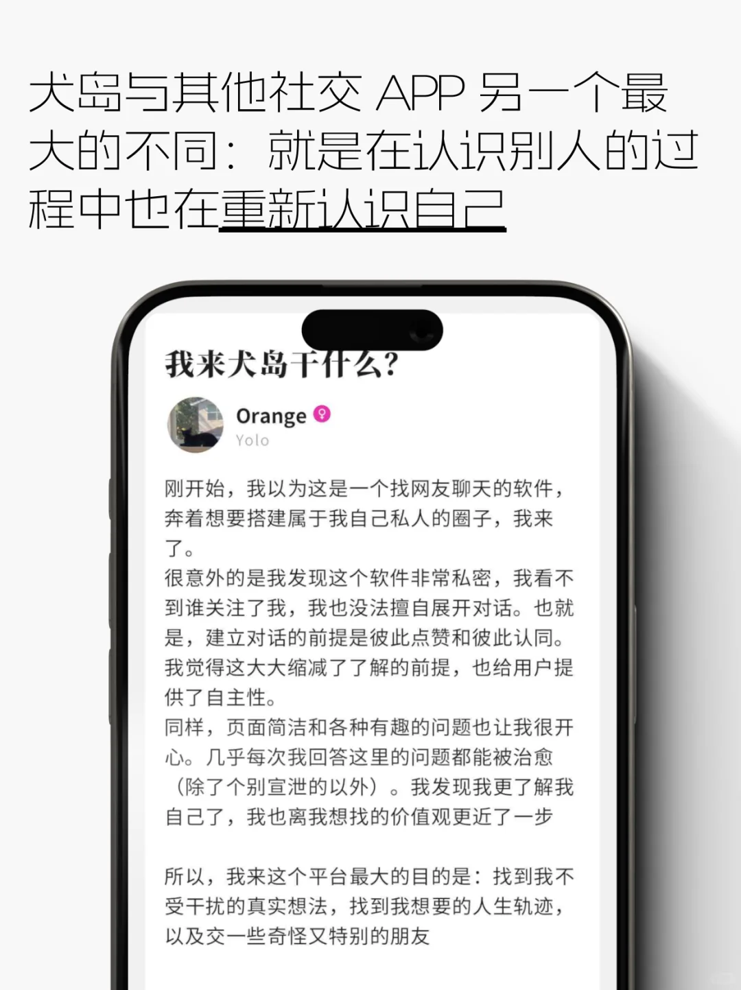 历时两年我独立开发了社交APP - 犬岛