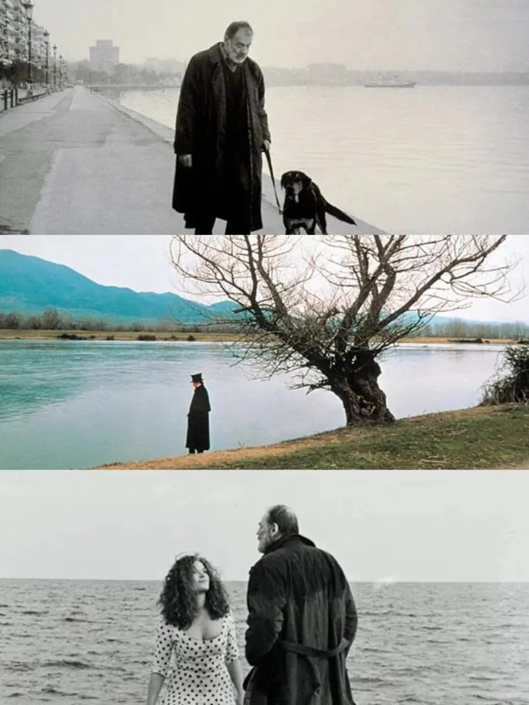 🎞豆瓣9.1| 我的人生电影出现了😭😭