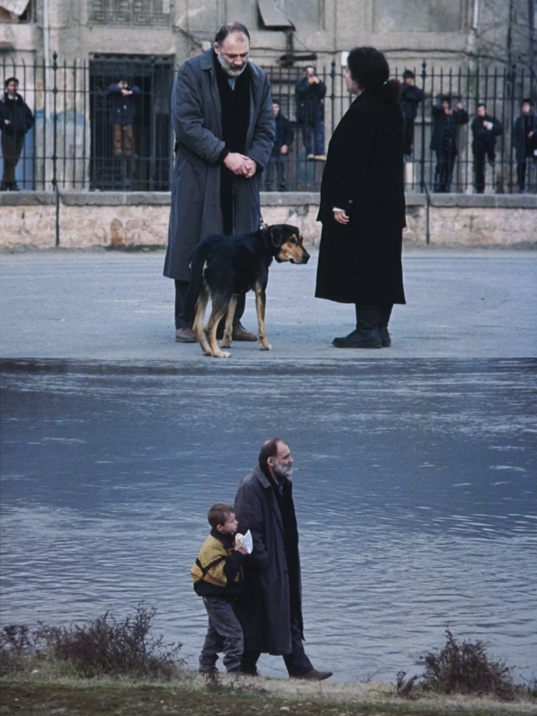 9.1高分❗️不愧是封神顶级哲学电影，泪奔