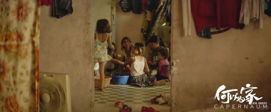 一天一部优质电影推荐❹❹كفرناحوم