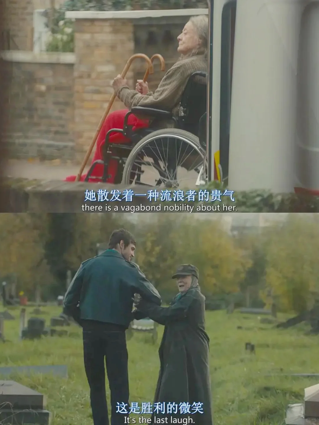 心情不好的全都去看这部电影❗️笑岔气了🤣