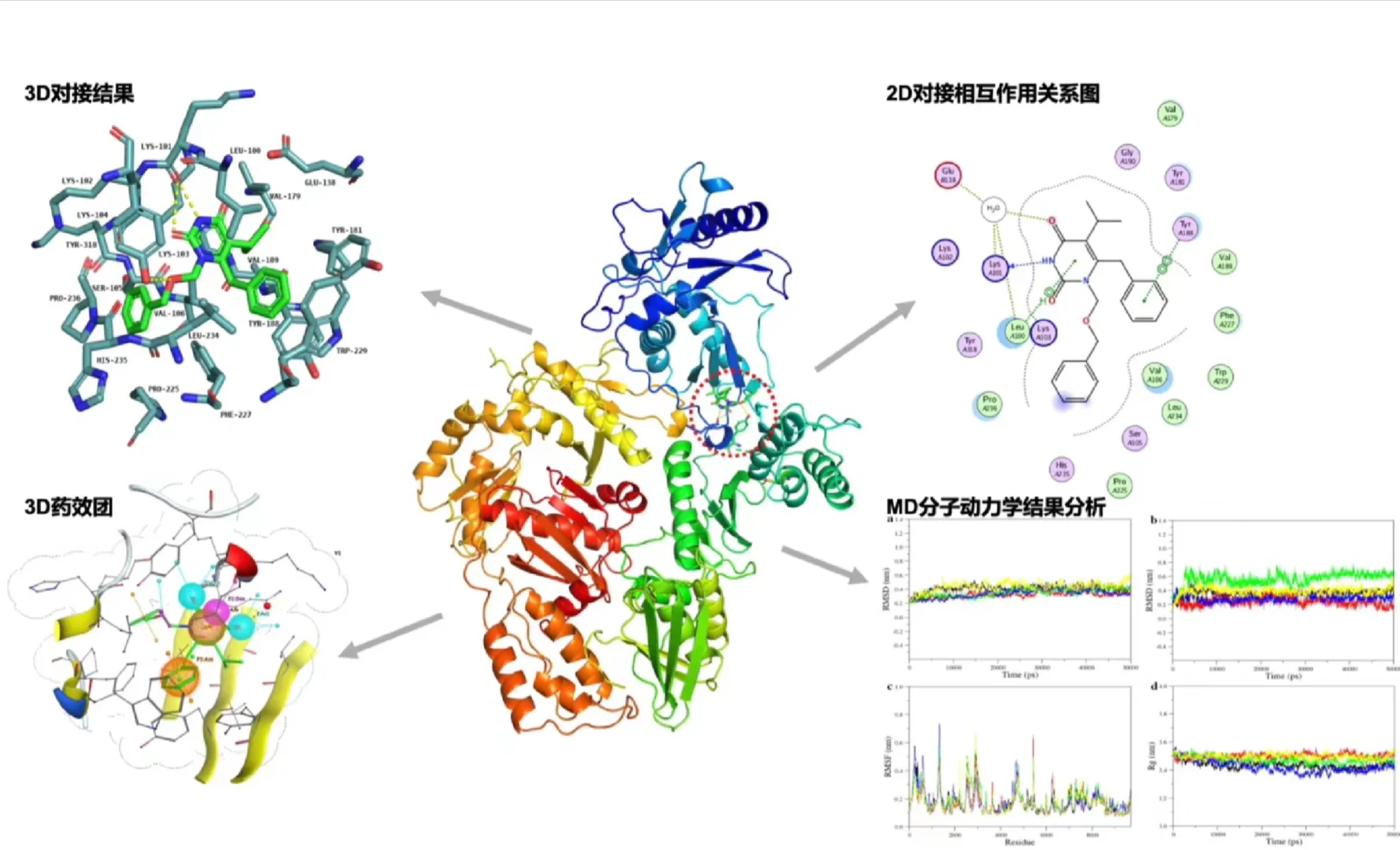 分子模拟代做+各种模拟软件