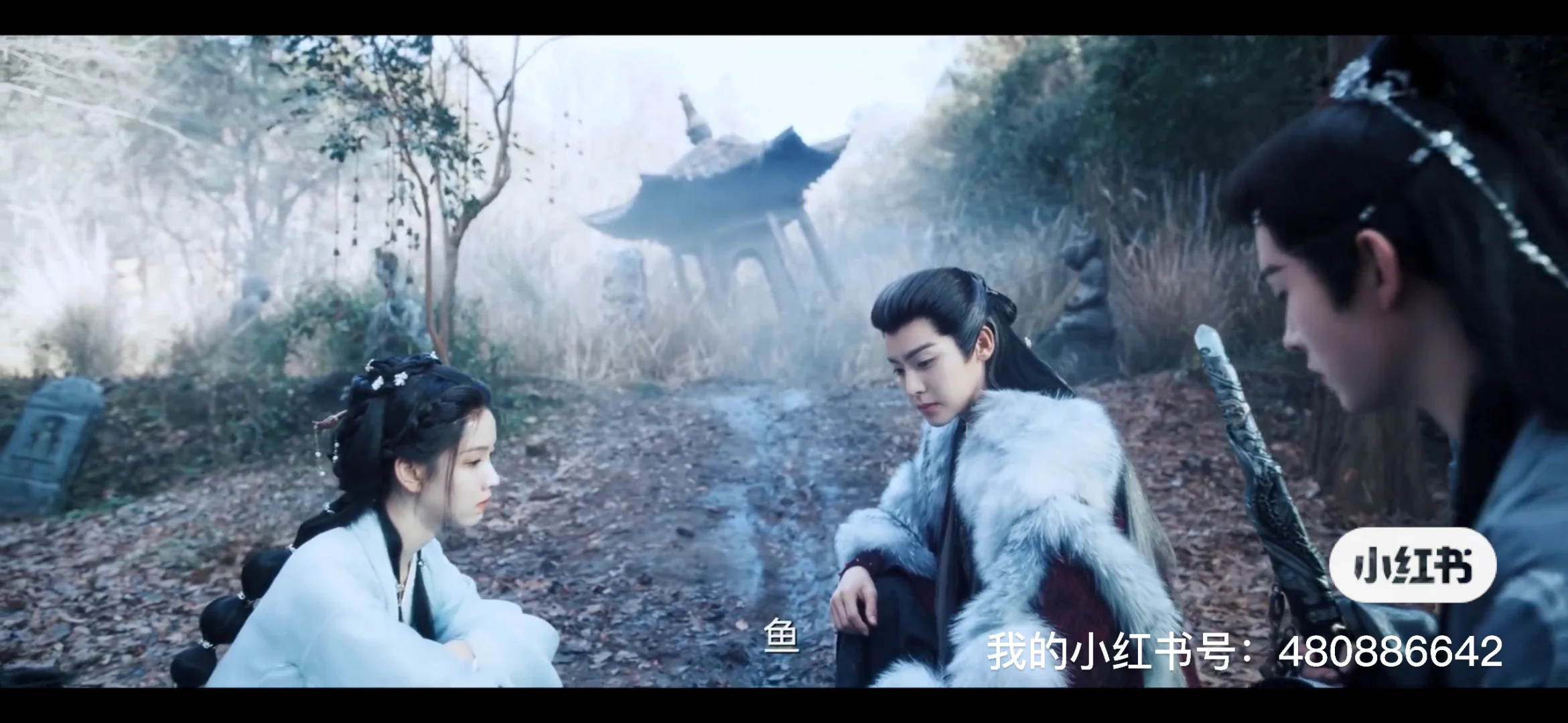 被问了N遍的ios安卓免费影视软件追剧软件