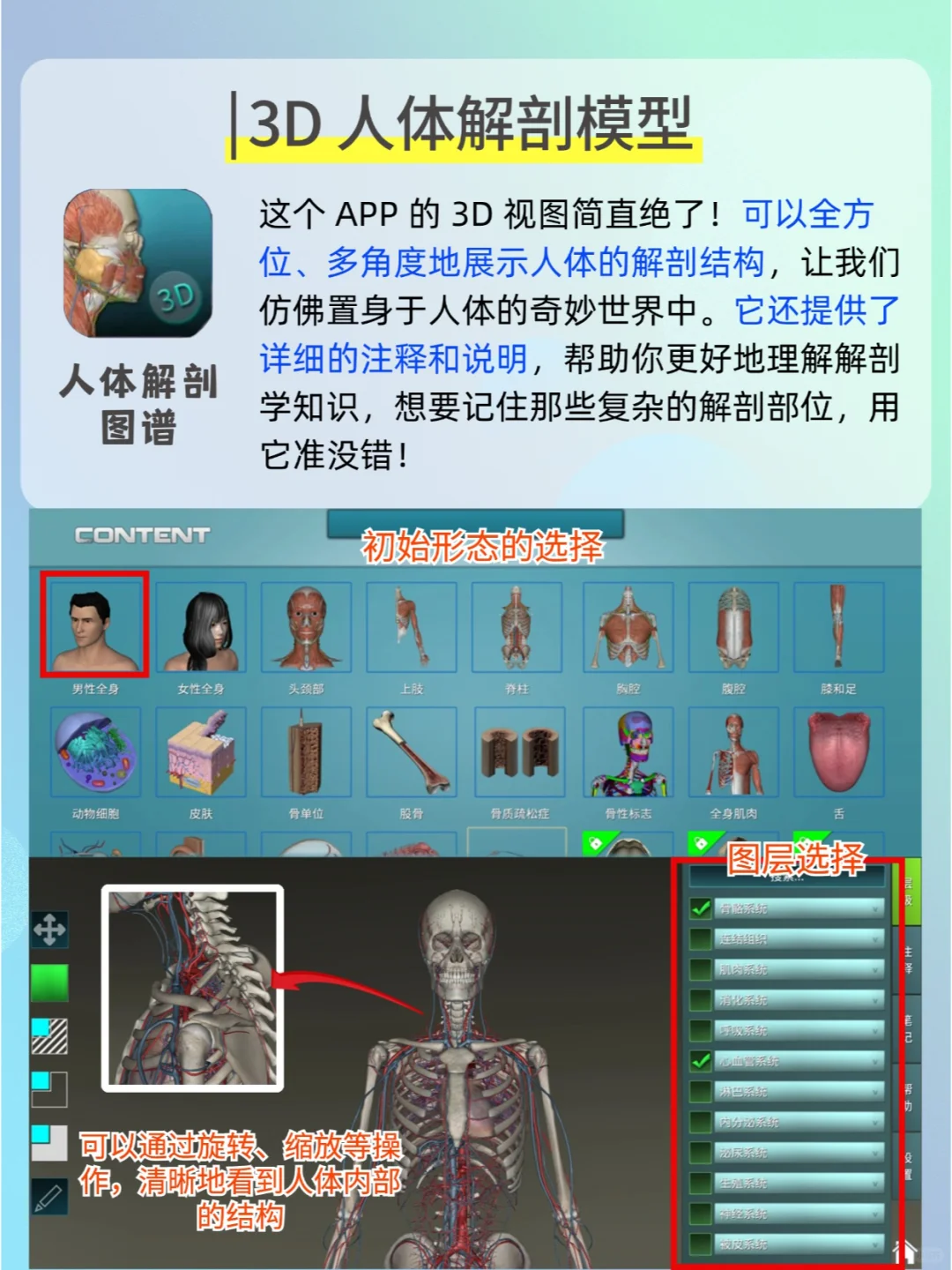 打死也不删的9款炸裂好用的医学APP!