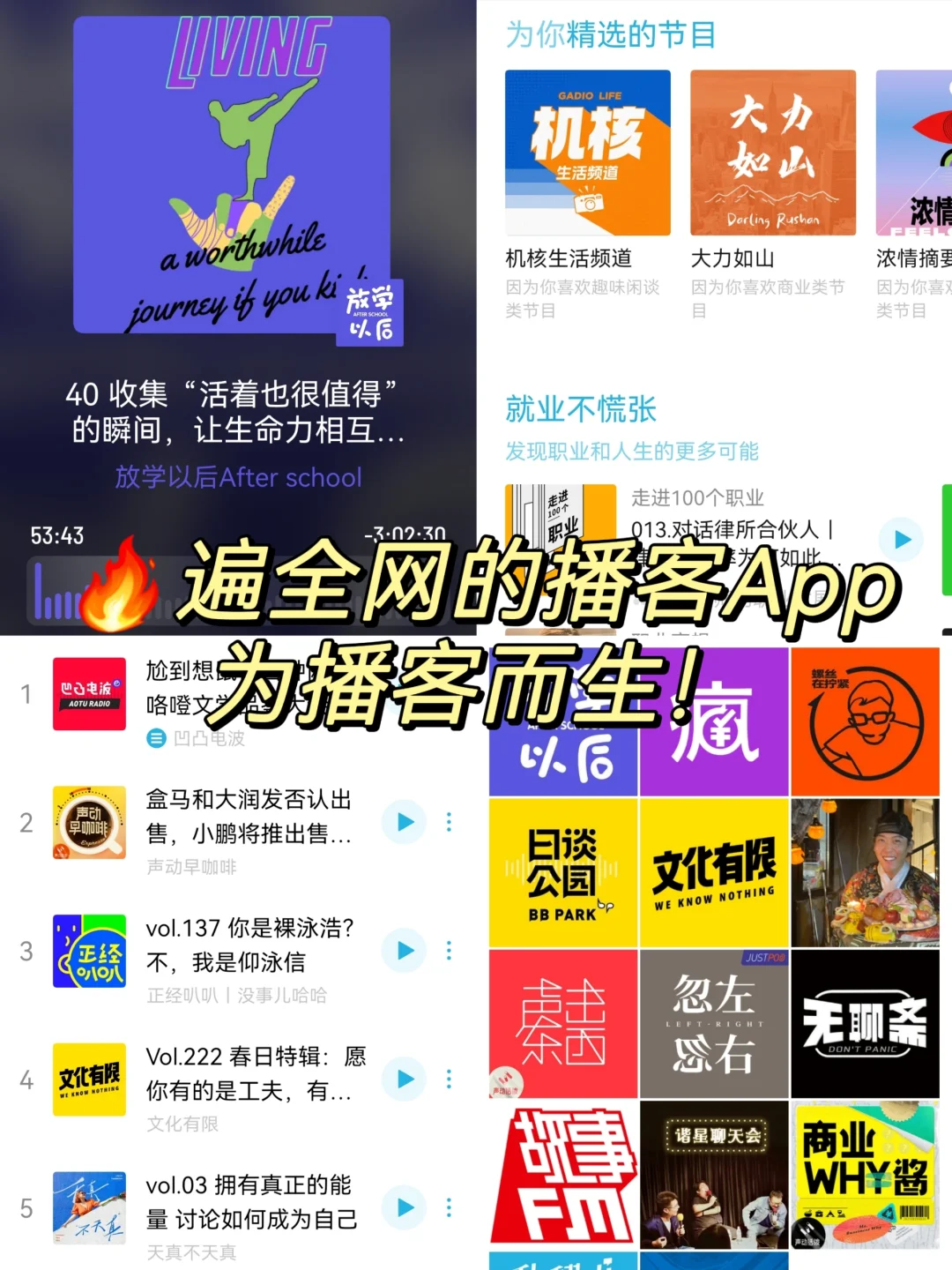 从小众到🔥遍全网的宝藏App