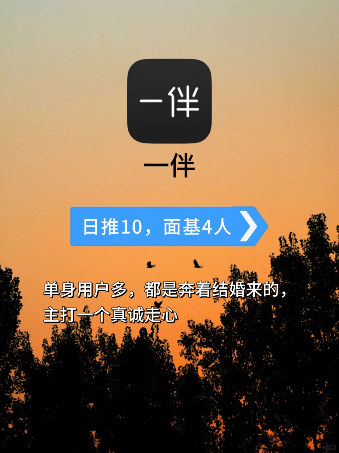 盘点4款成年人必装交友app！你知道几个