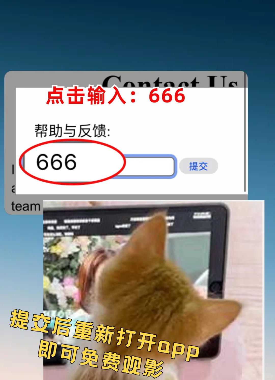 iOS、安卓均可支持，免费永久