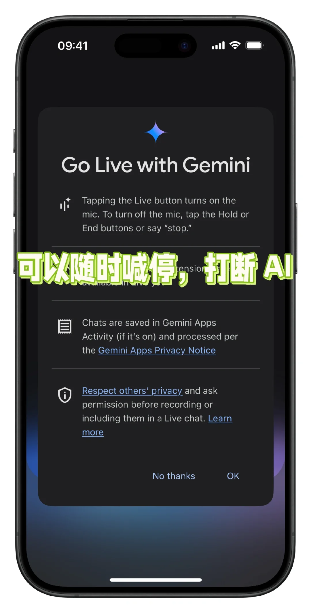 Google 的 AI 工具 Gemini App 登陆 iOS