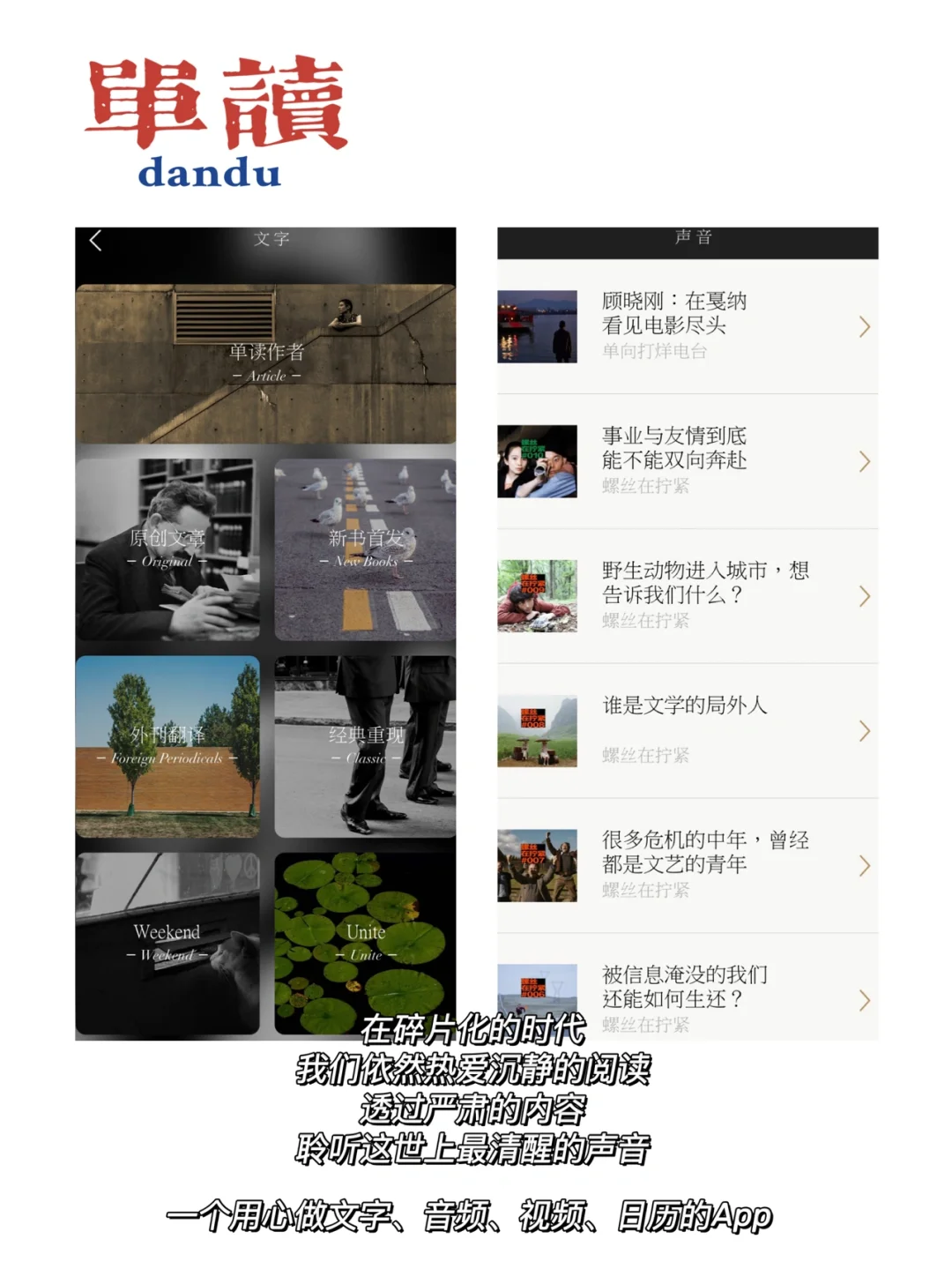 有了这些APP,你眼中的世界会更深刻