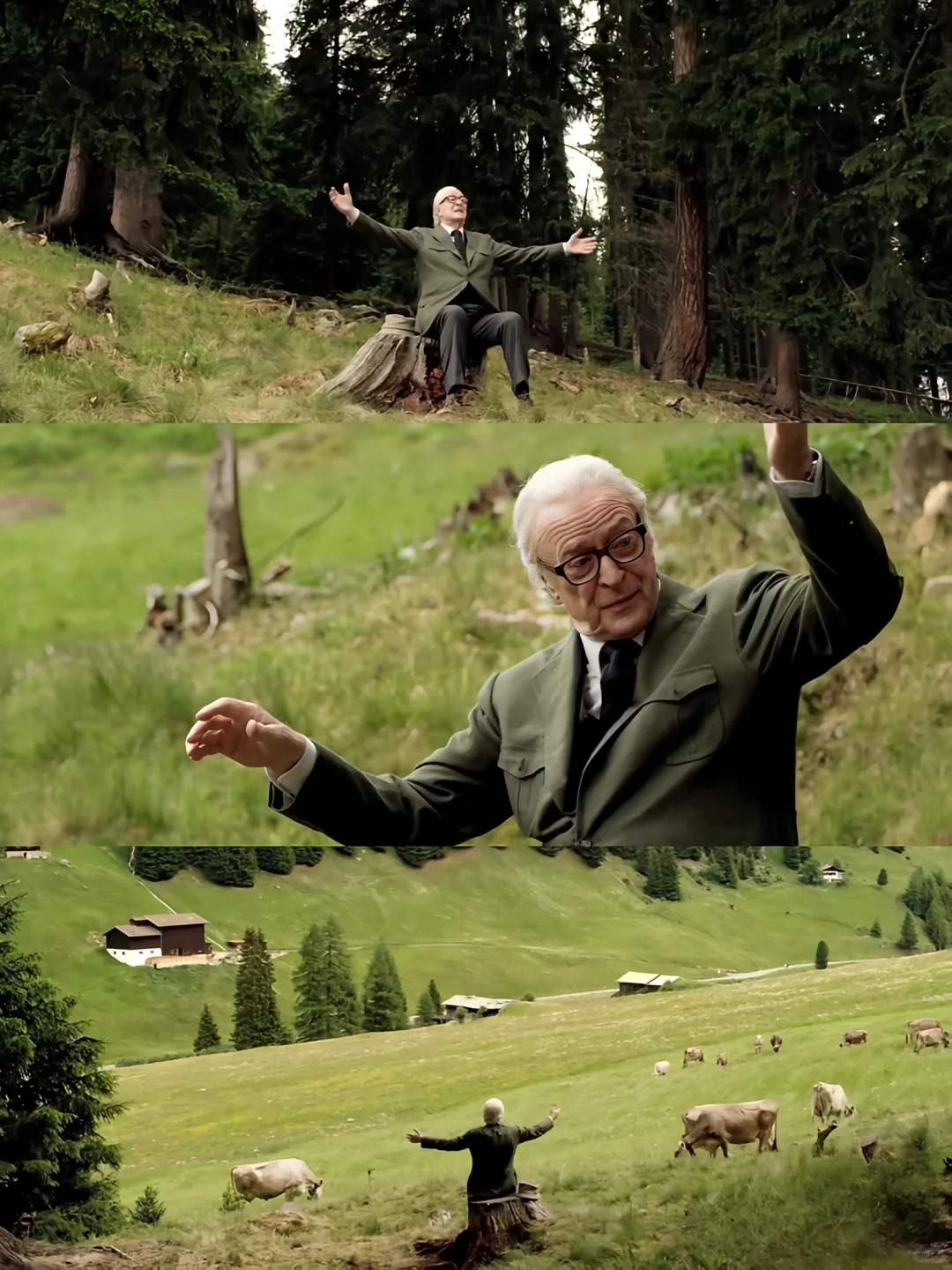 强推‼️今年最爱的一部电影,没有之一