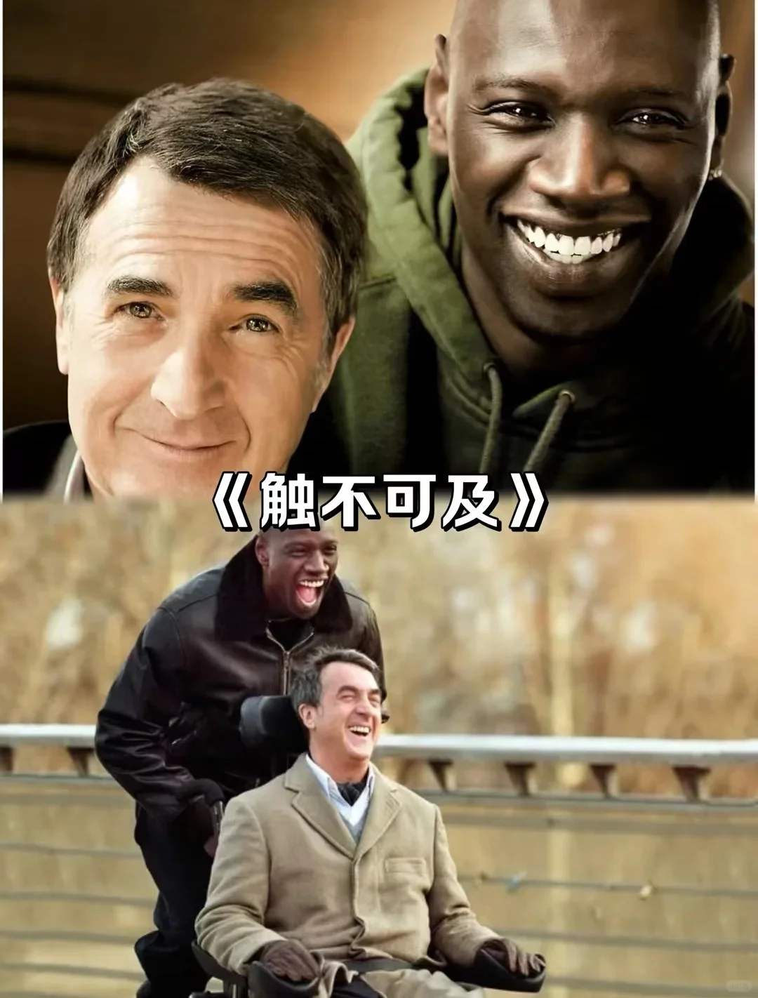 高分经典十七部电影推荐🎬