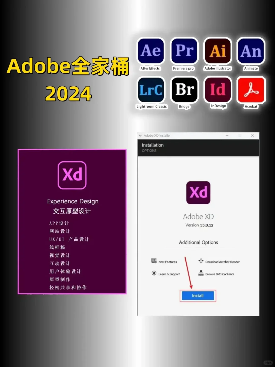 Adobe全家桶2024新版本10月更新最新安装包