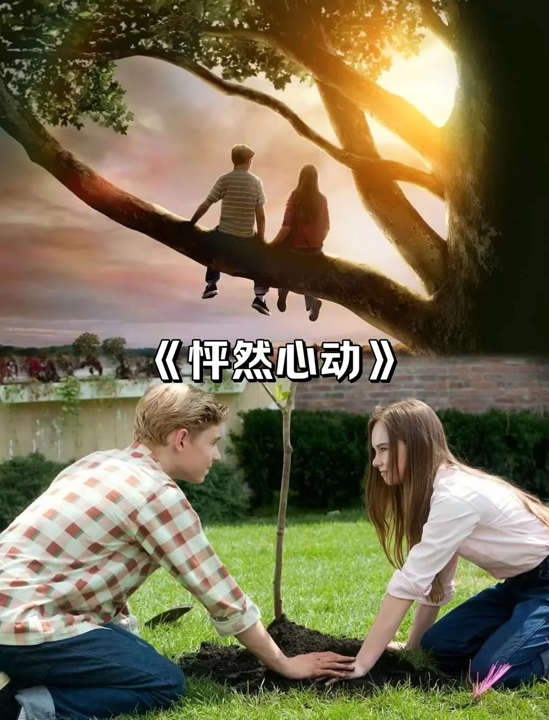 高分经典十七部电影推荐🎬