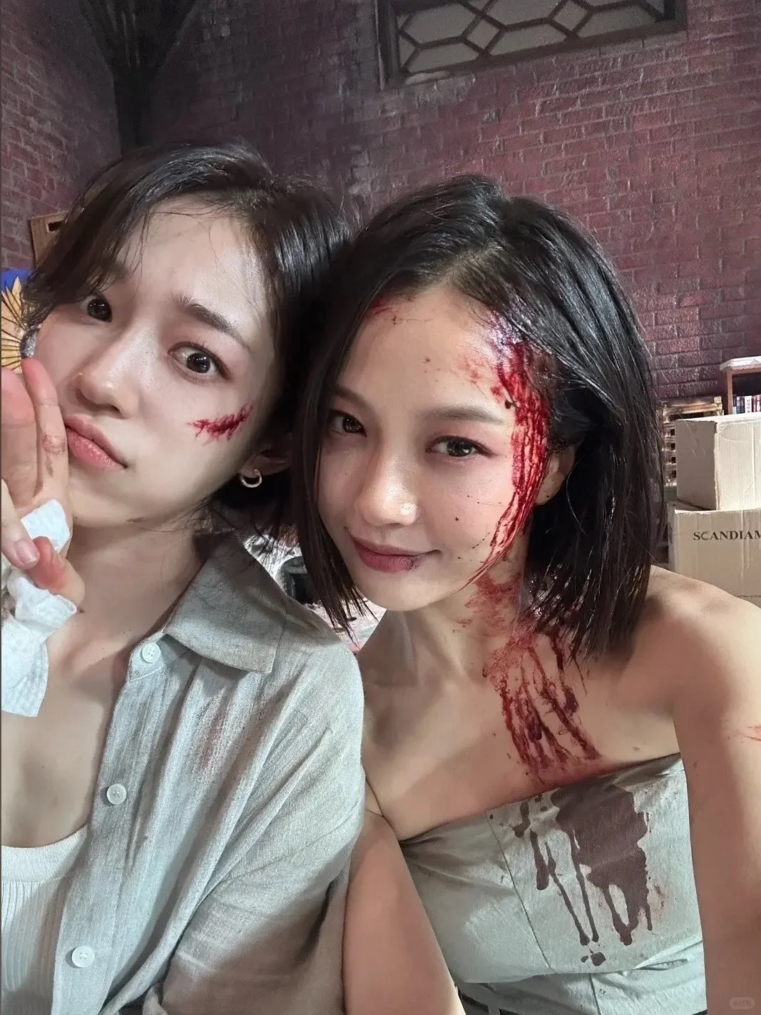 鲨疯了❗️Netflix新剧❗️简直不要太好看❗️😭