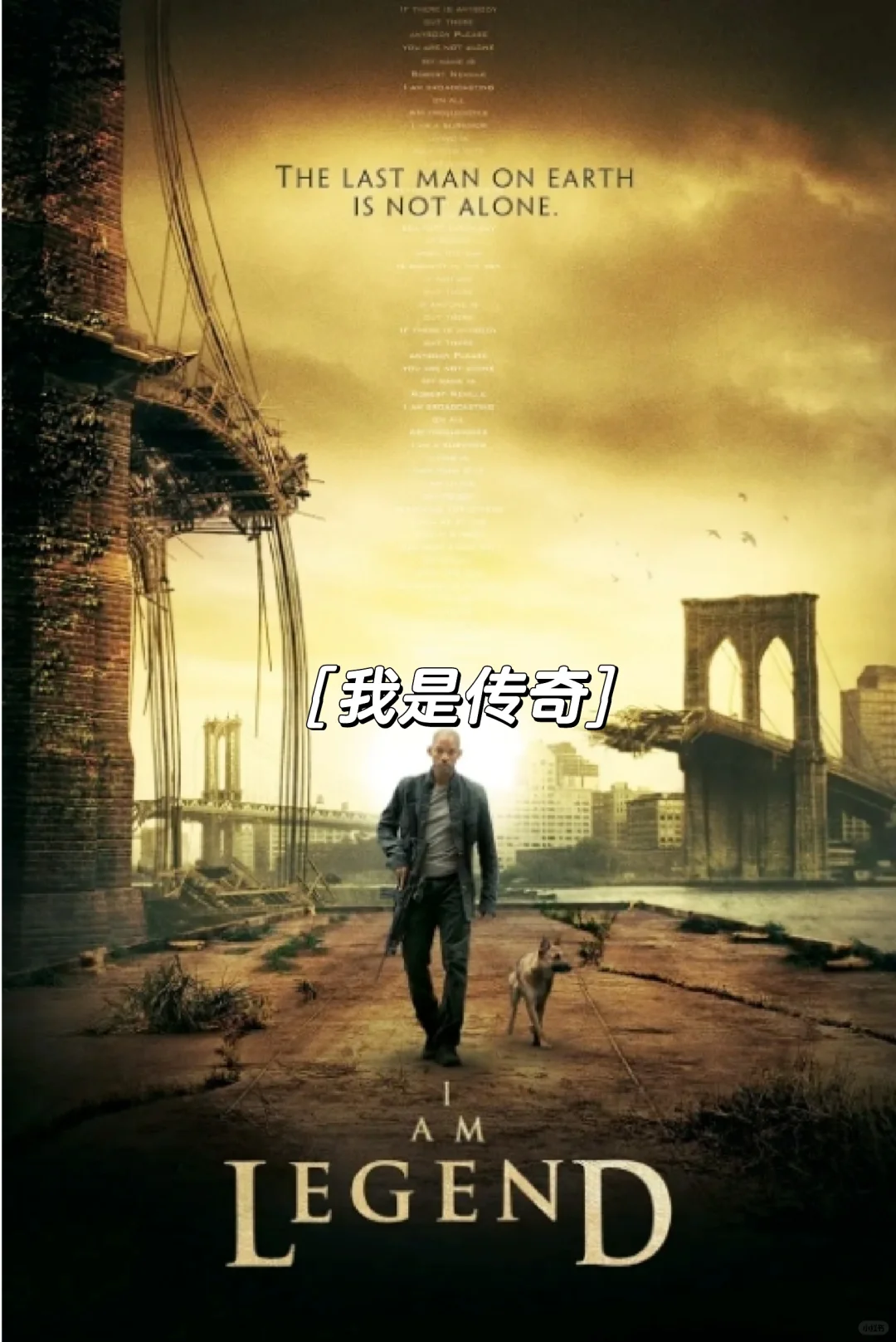 10部必看的灾难电影