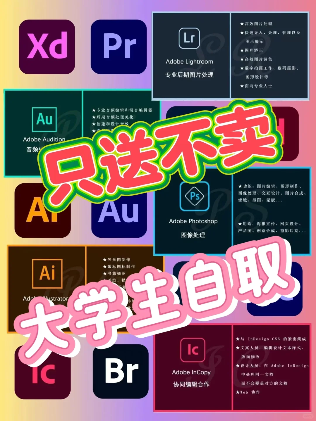 Adobe全家桶新款上线，2025版抢先体验！