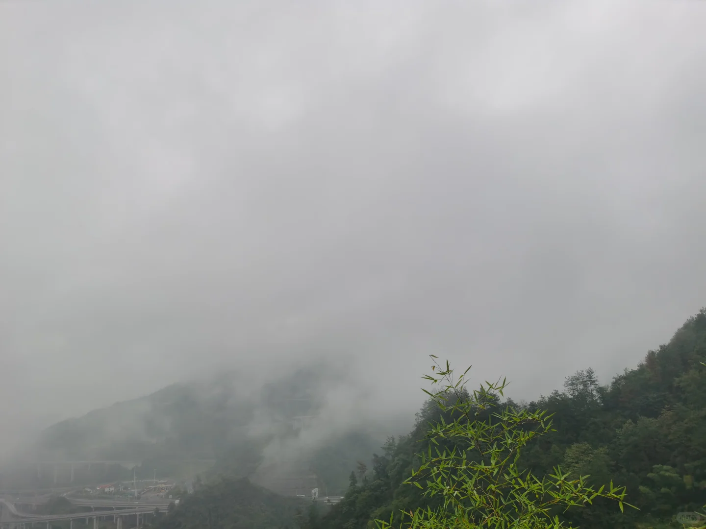 薅羊毛挑战一年|DAY75