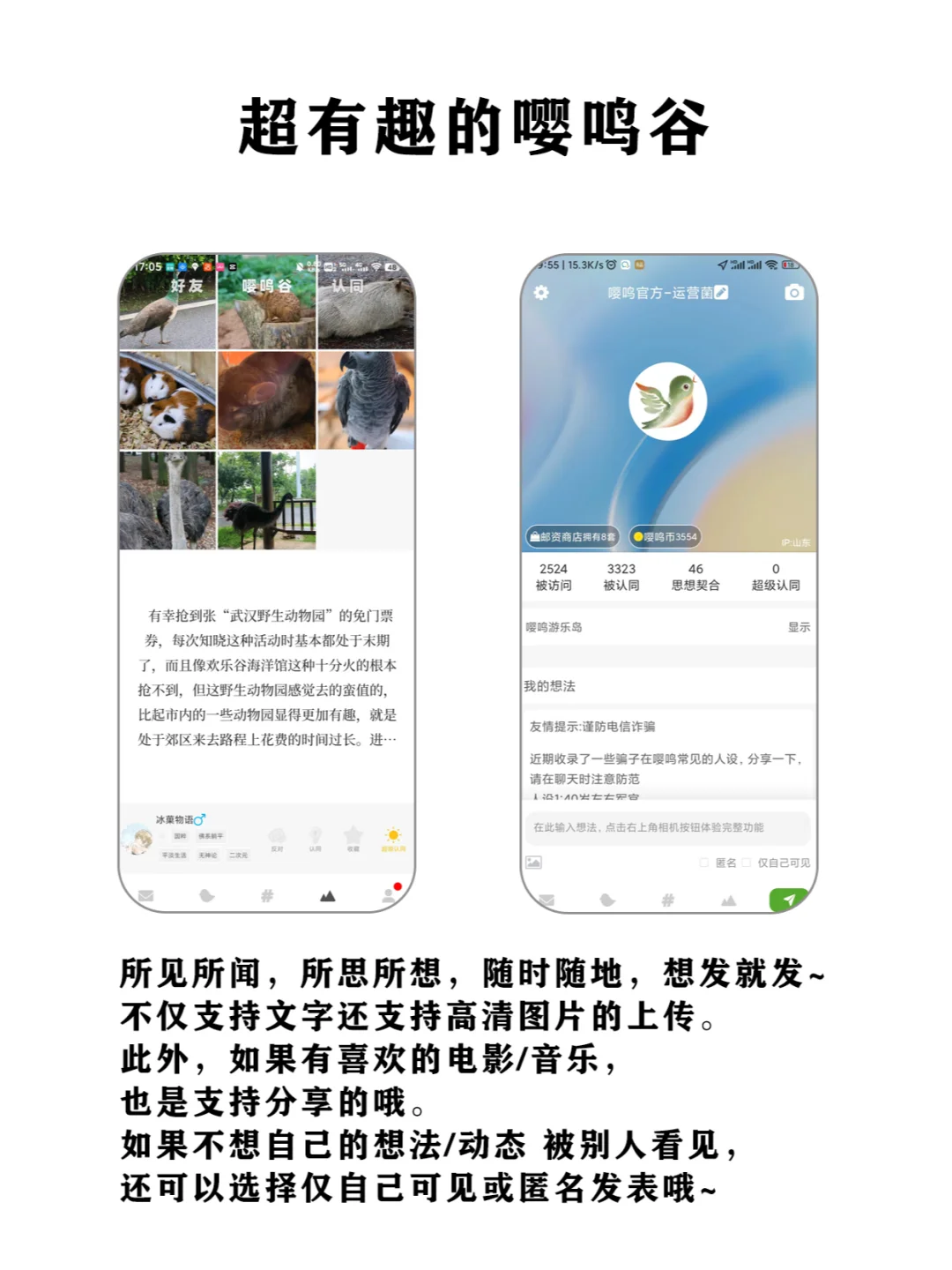人少，但超级好用是我宝藏app