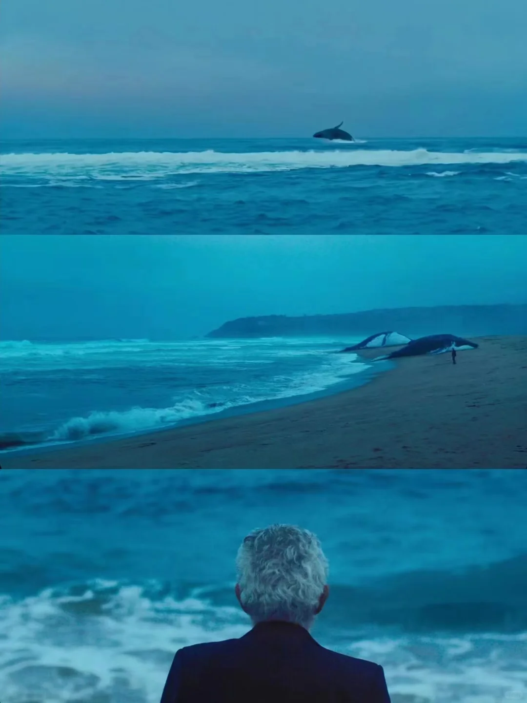 向全世界推荐这部电影😭太震撼了❗❗