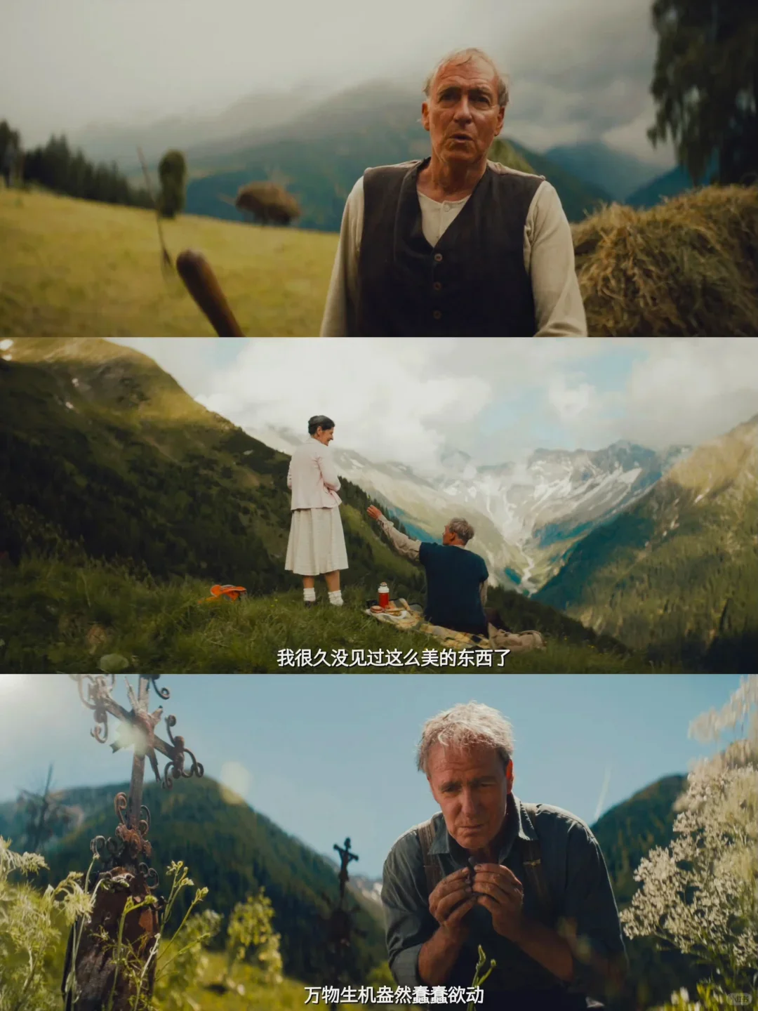 电影推荐|真正的人生必看电影❗哭到泪崩😭