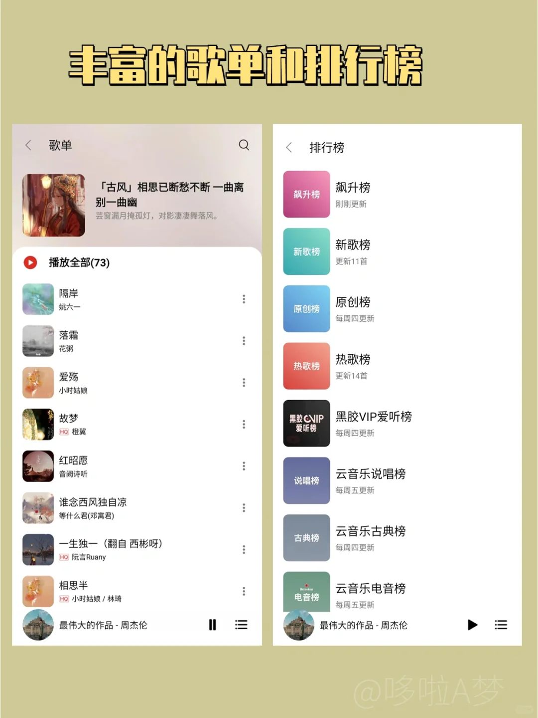 付费歌曲免费听，小众听歌神器