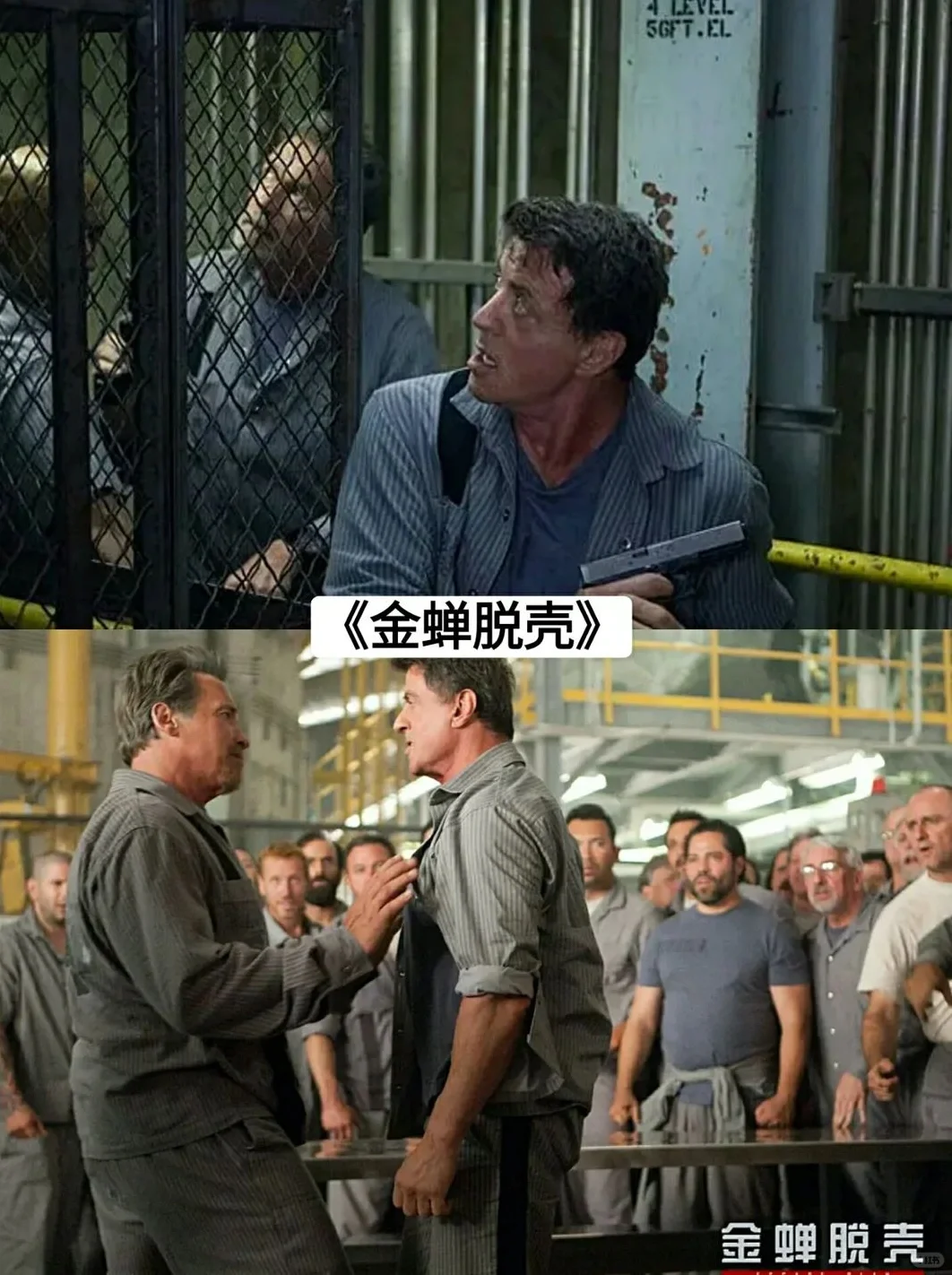 推荐10部开场就高潮的电影佳作！