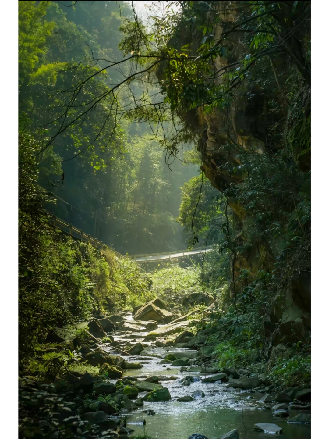 手机版Lr会员几块钱可以永久使用了❗️