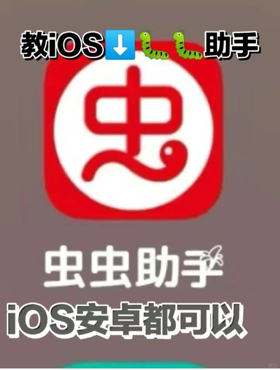 教下虫虫助手，简单方便