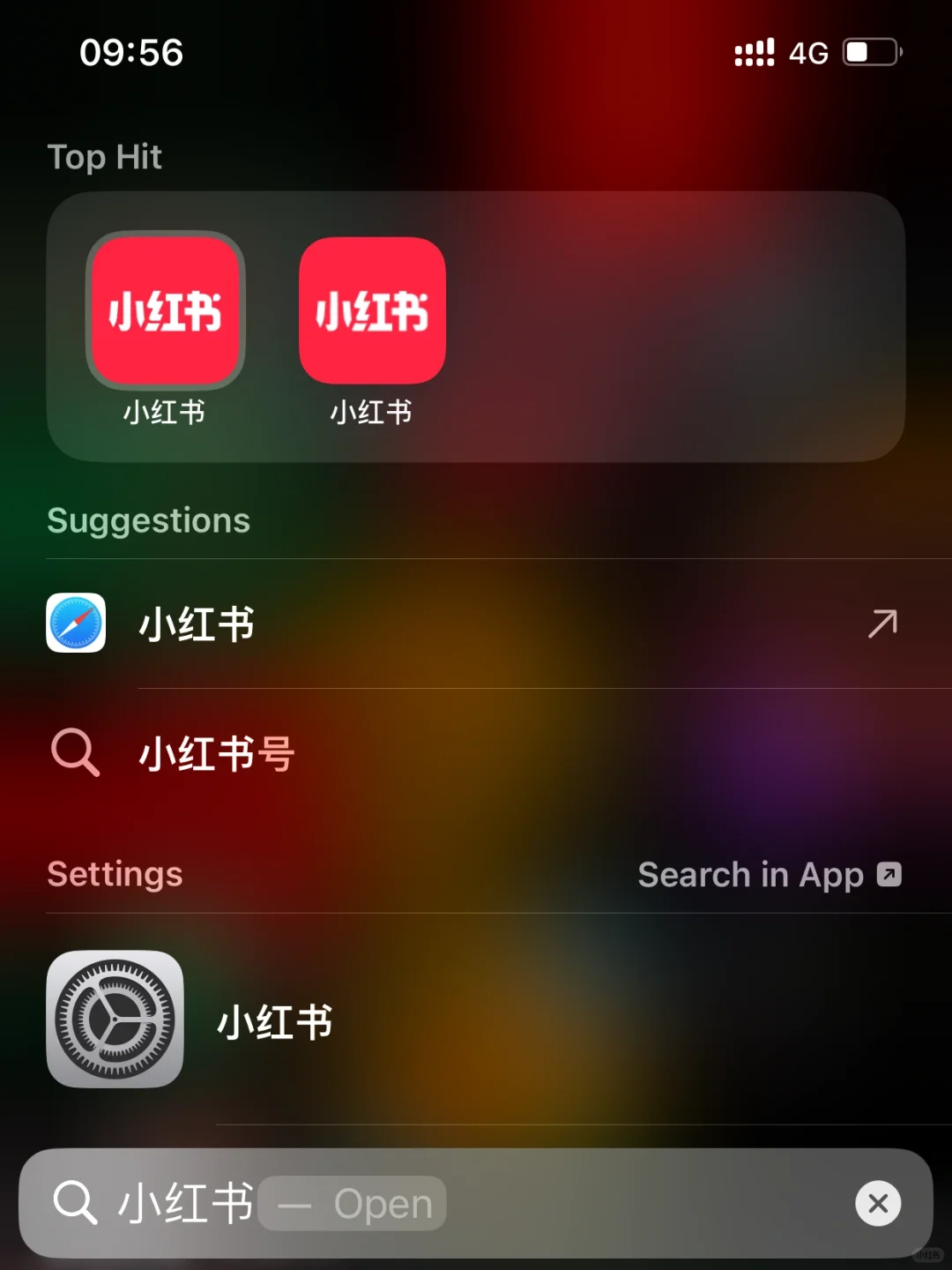 简单易用免费安全的ios iphone应用双开