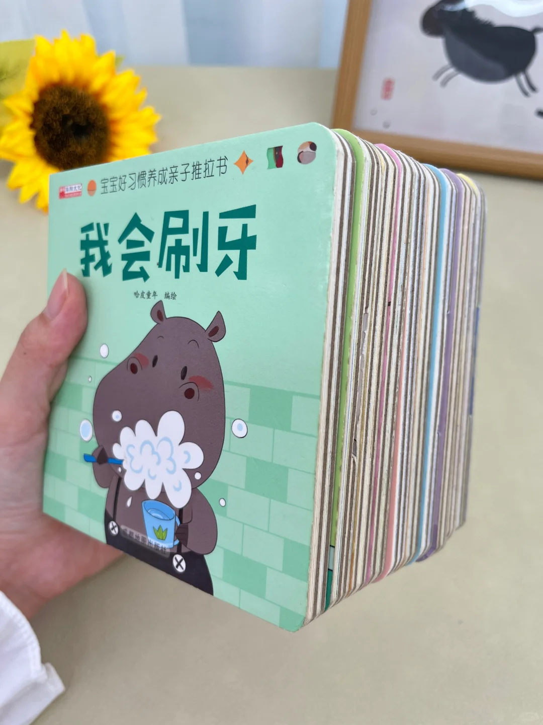 老天奶😱整整10本只要18.8r‼️也太值了叭