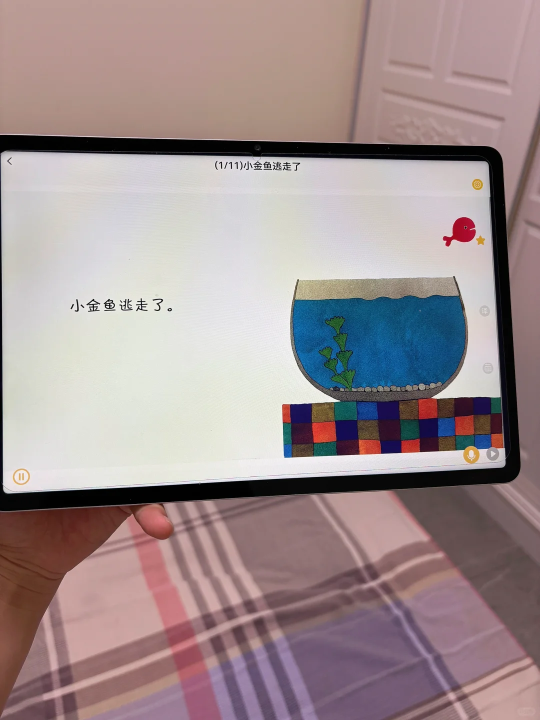 我真的谢…让娃实现绘本自由🫠🫠