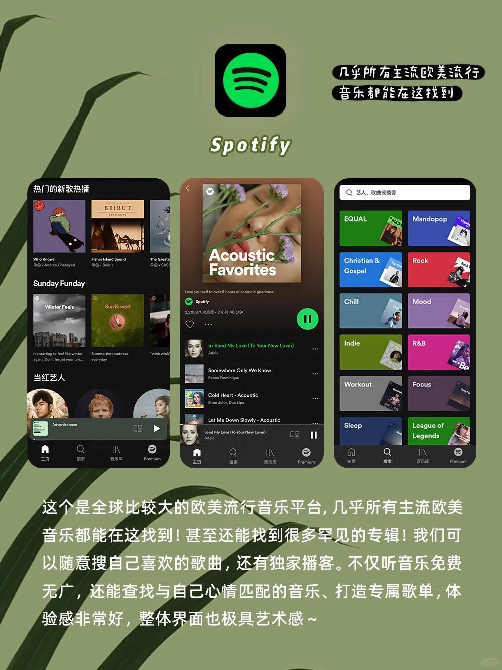 8款小众女性高级app