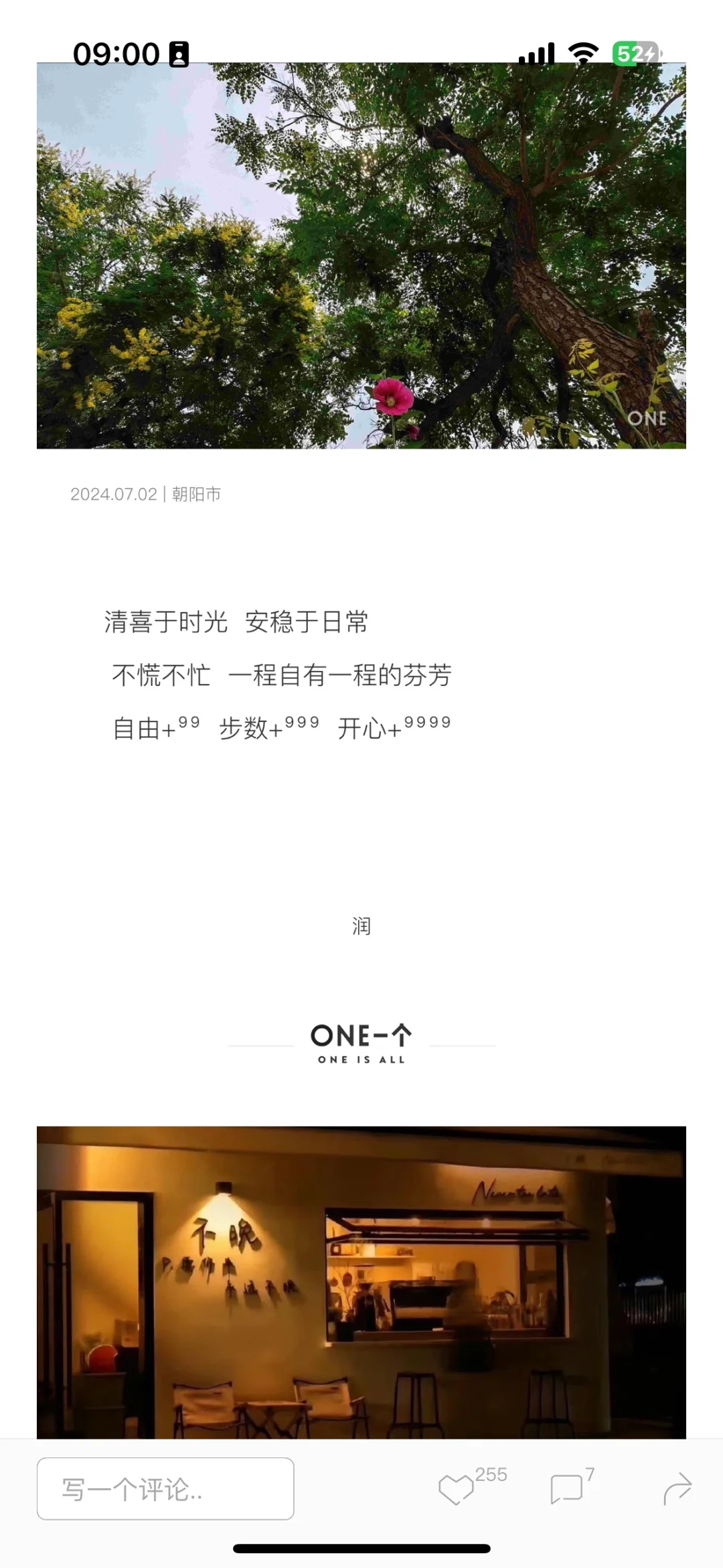 复杂的世界里 一个就够了