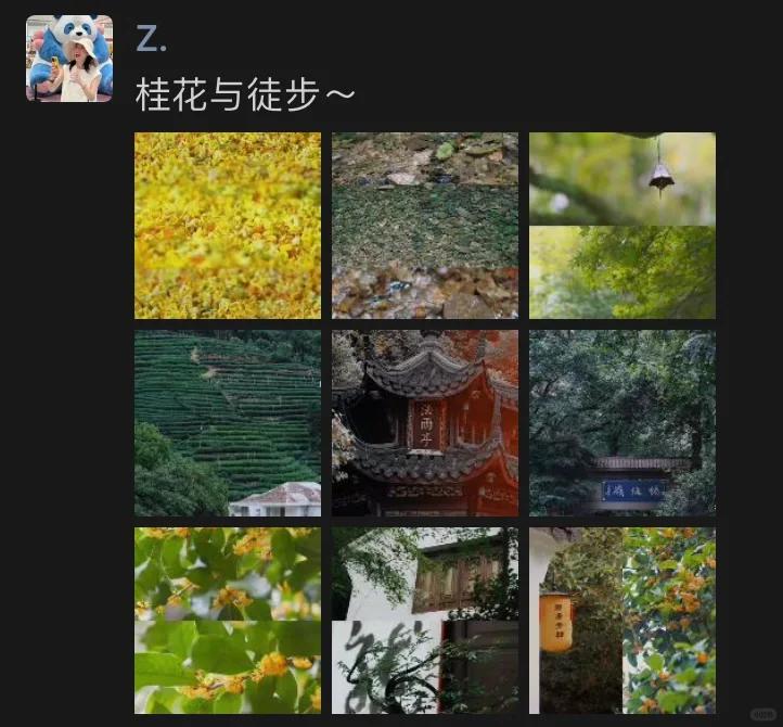 50款手机APP｜带你实现美照自由啦👋🏻