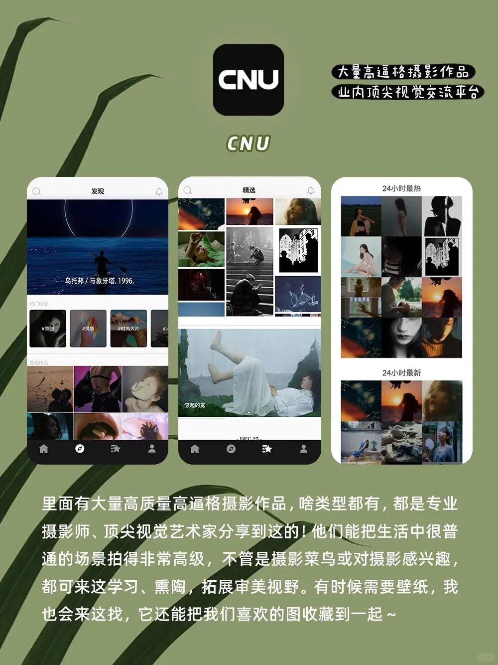 8款小众女性高级app