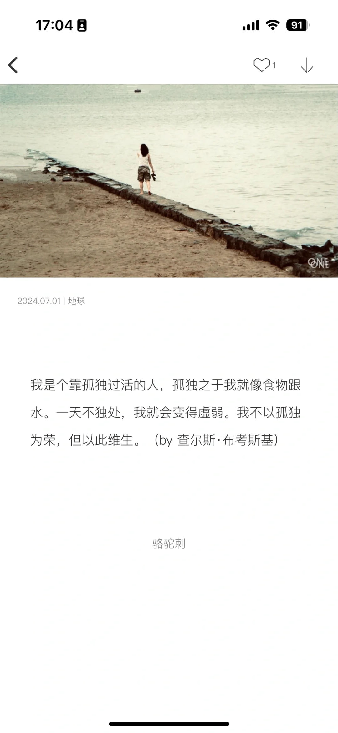 复杂的世界里 一个就够了